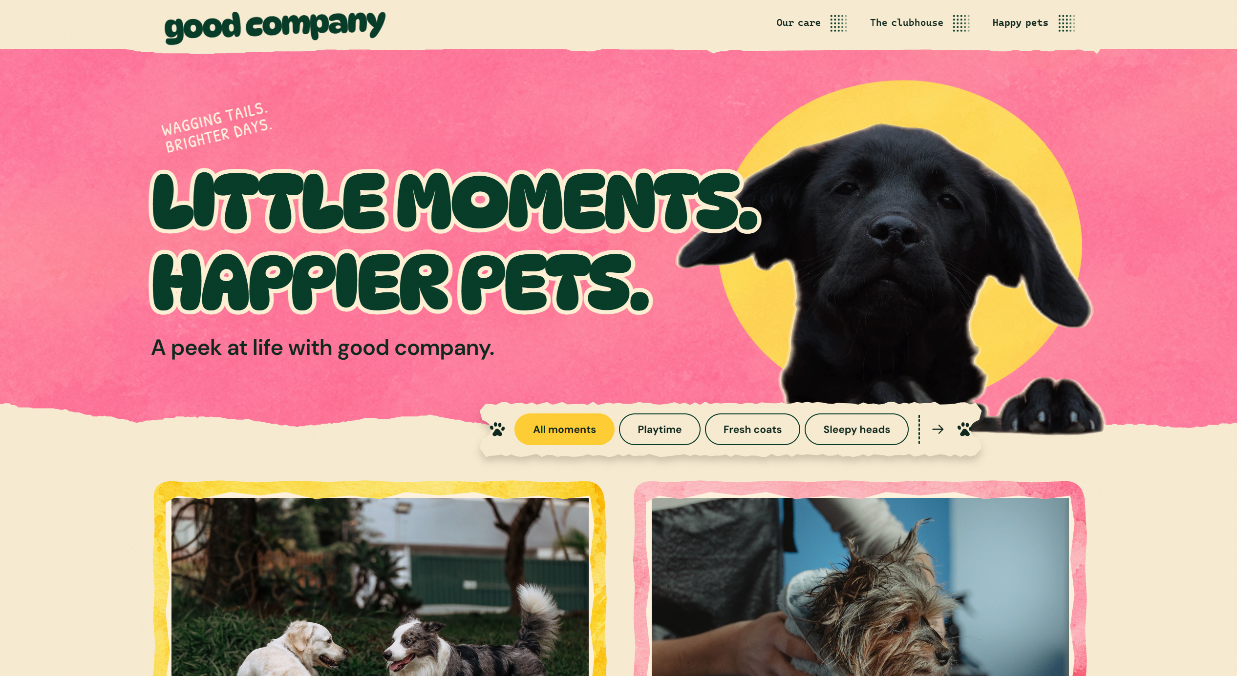 Good Company Happy Pets gallery introduction with a Labrador puppy and category filters.