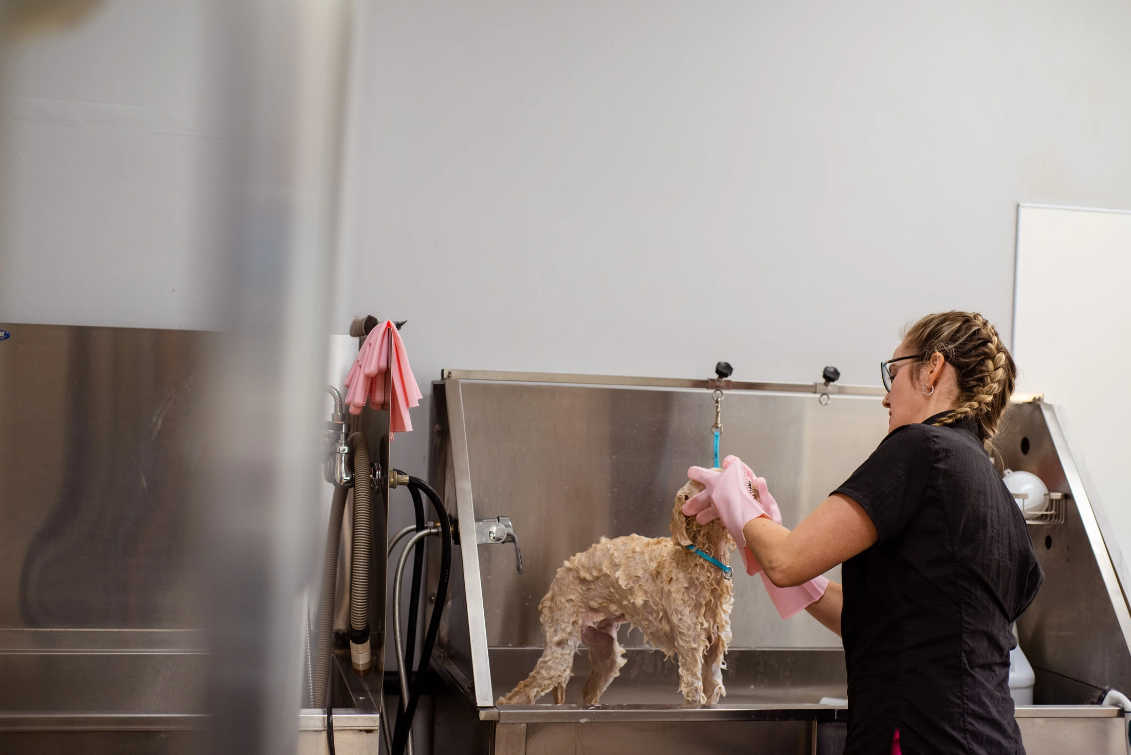 A small dog receiving a gentle bath from a groomer