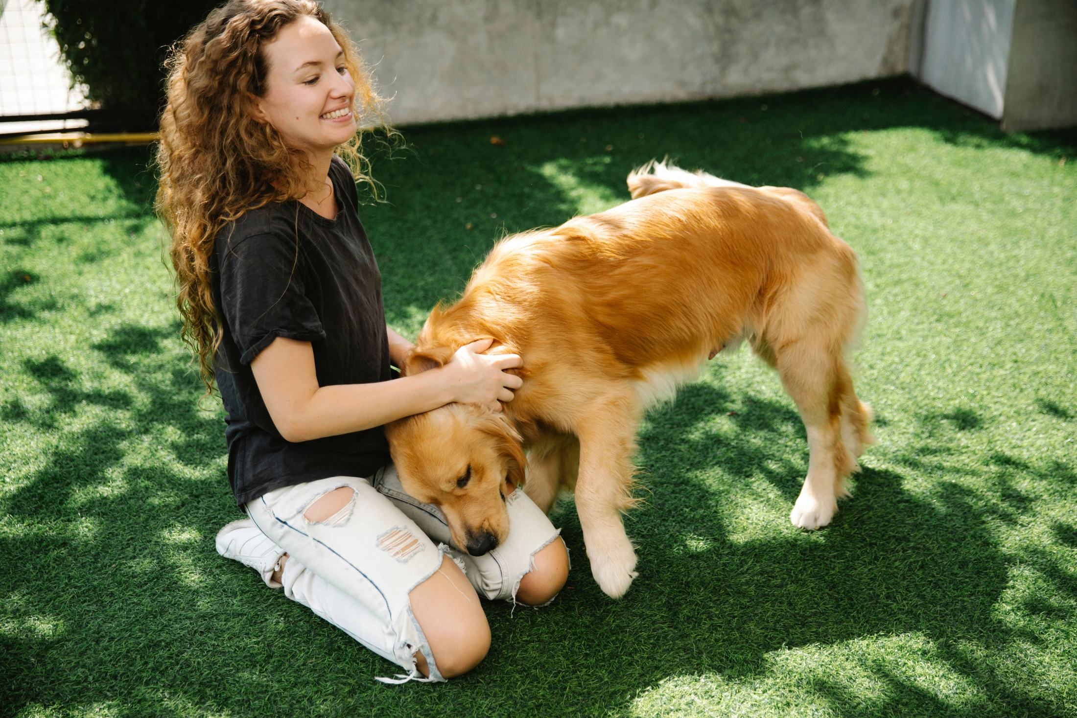 A woman petting a Golden Retriever on the lawn
